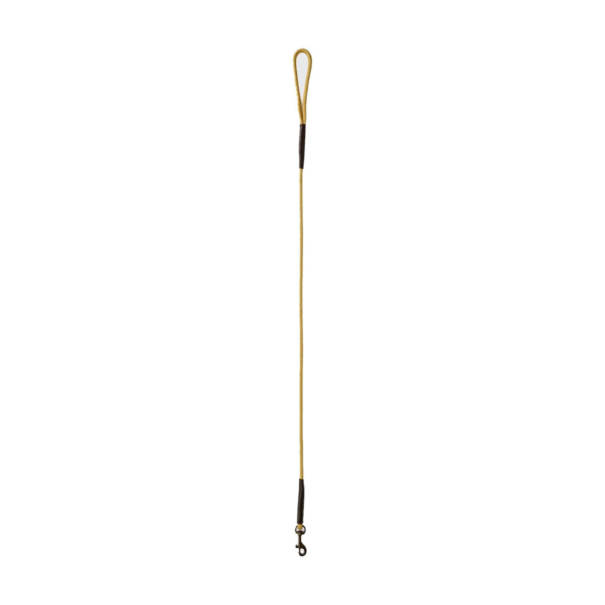 Dubarry Charlie Hundeline - Gold