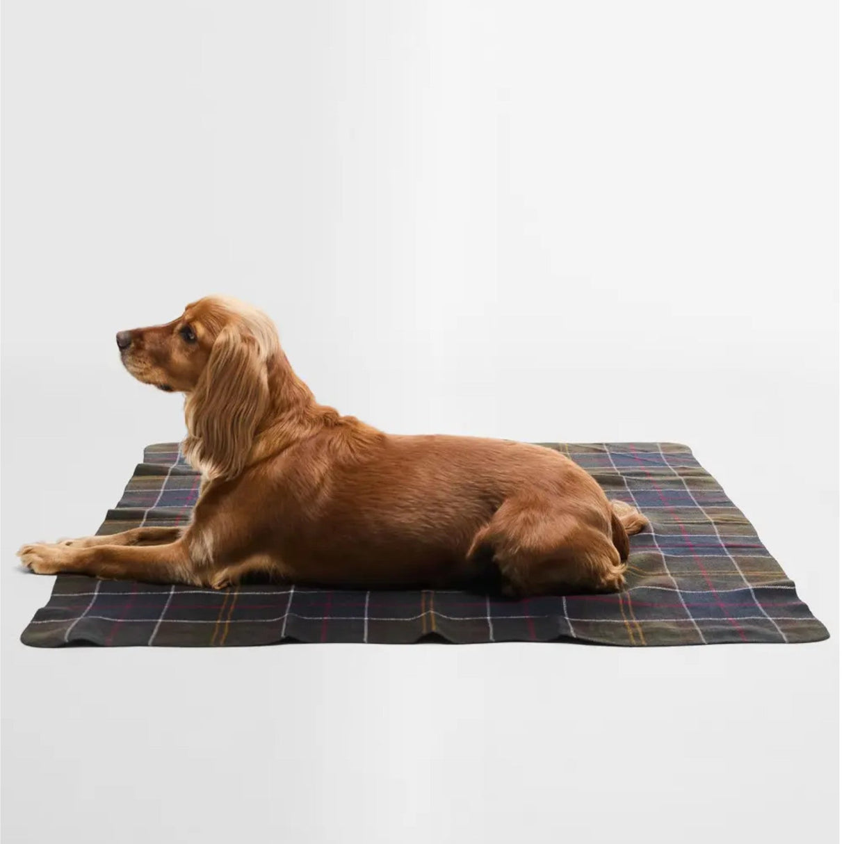 Barbour Hundetæppe - One Size - Classic Tartan