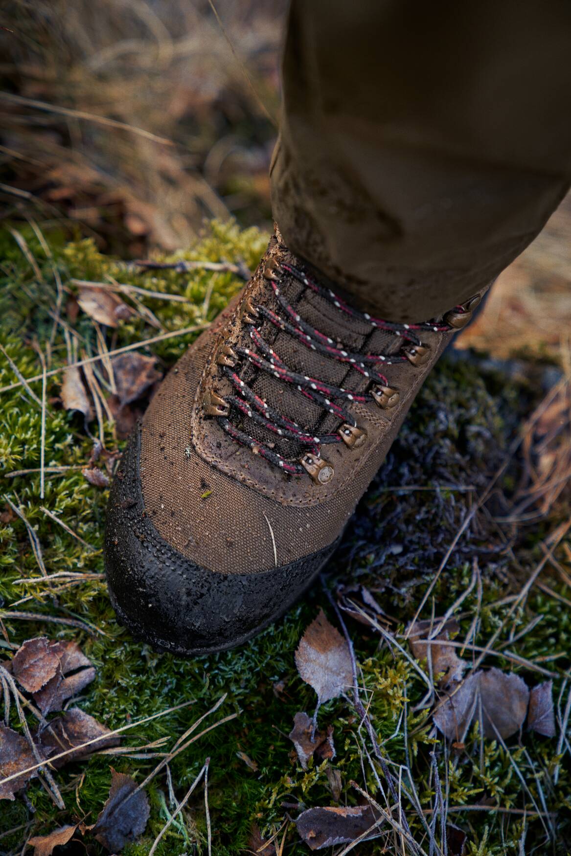 Härkila Wildwood 2.0 GTX Lady Støvler  - Dame - Mid brown