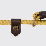 Dubarry Marley Hundeline - Gold