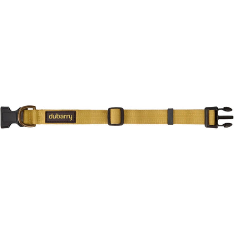 Dubarry Apollo Halsbånd - Gold