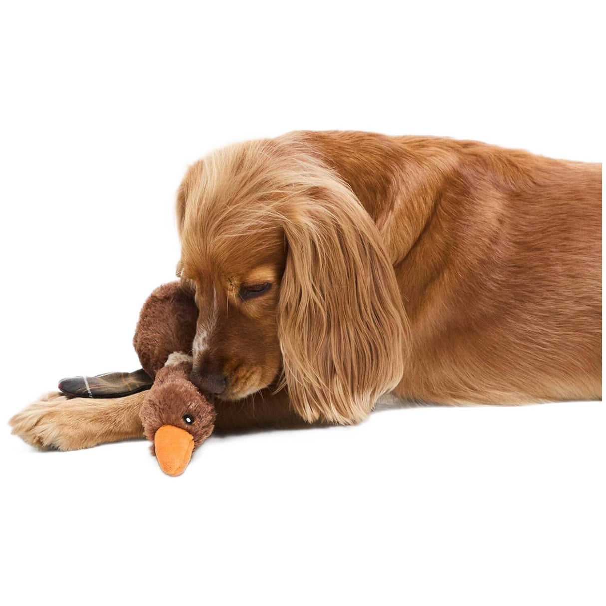 Barbour Flying Duck Dog Toy - Hundelegetøj