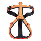 Sprenger Hundesele Schweiss - Orange